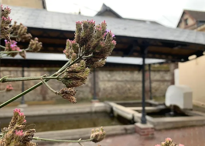 L'ecole Des Demoiselles Couette-café Honfleur