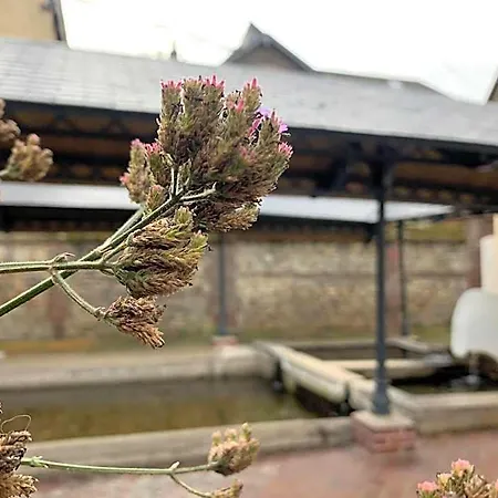Bed & Breakfast L'ecole Des Demoiselles Honfleur